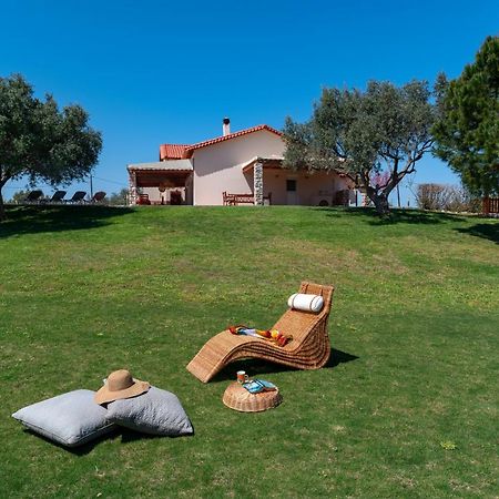 Olive Private Villa Swimming Pool 5 Bdr Kolymbia Rhodes エクステリア 写真